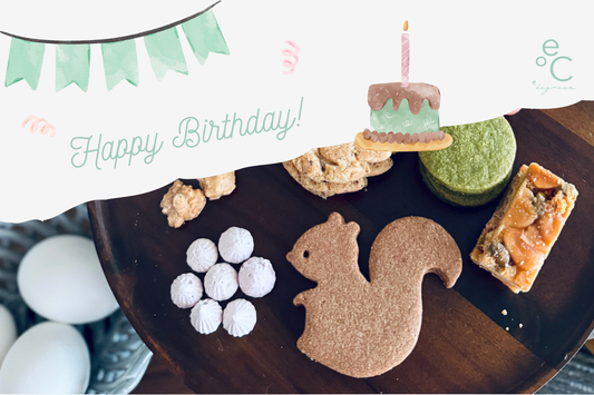 誕生日プレゼントにおすすめのリスと戯れる森のクッキー缶高級洋菓子ギフト