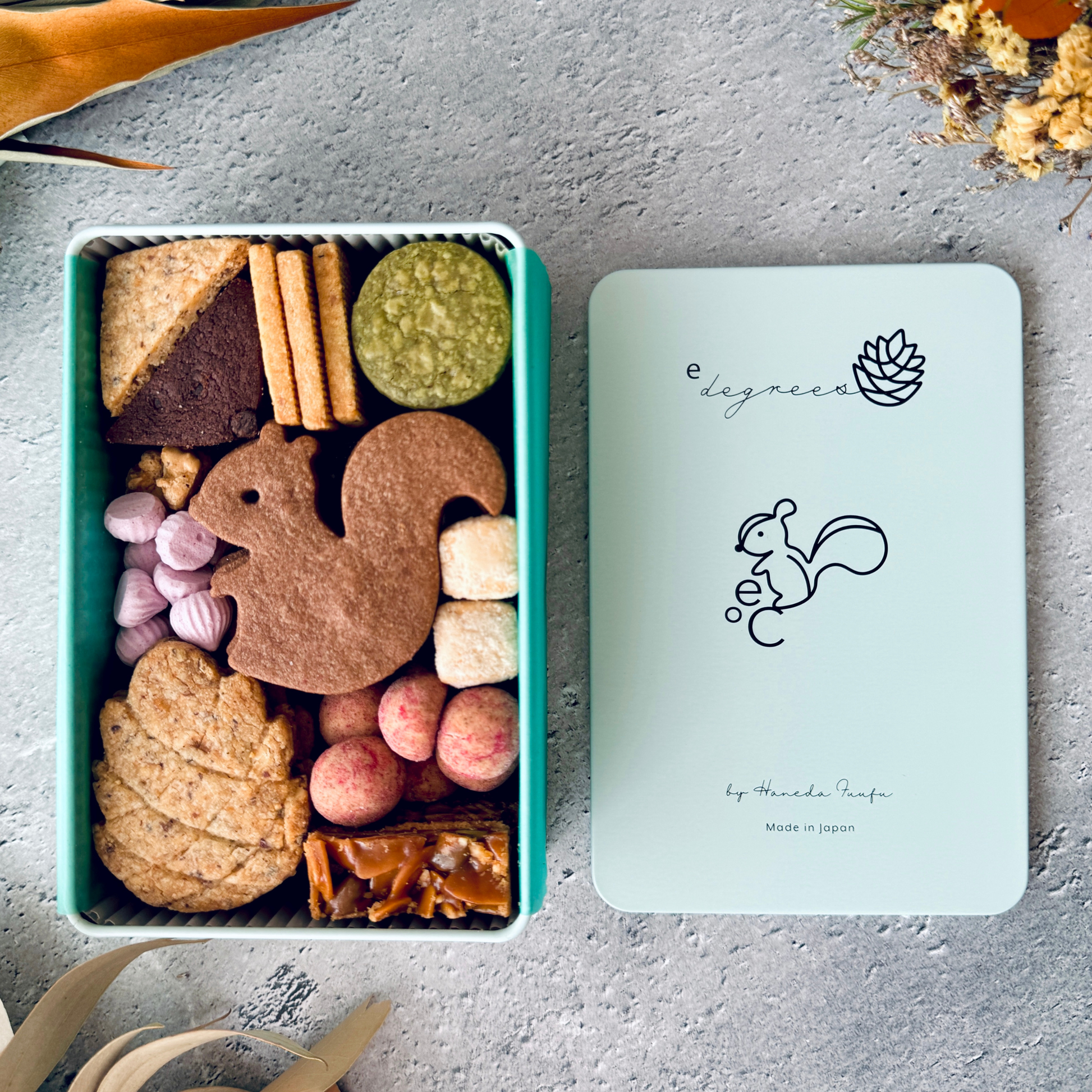 リスと戯れる森のかわいいクッキー缶 | 人気のお取り寄せギフト