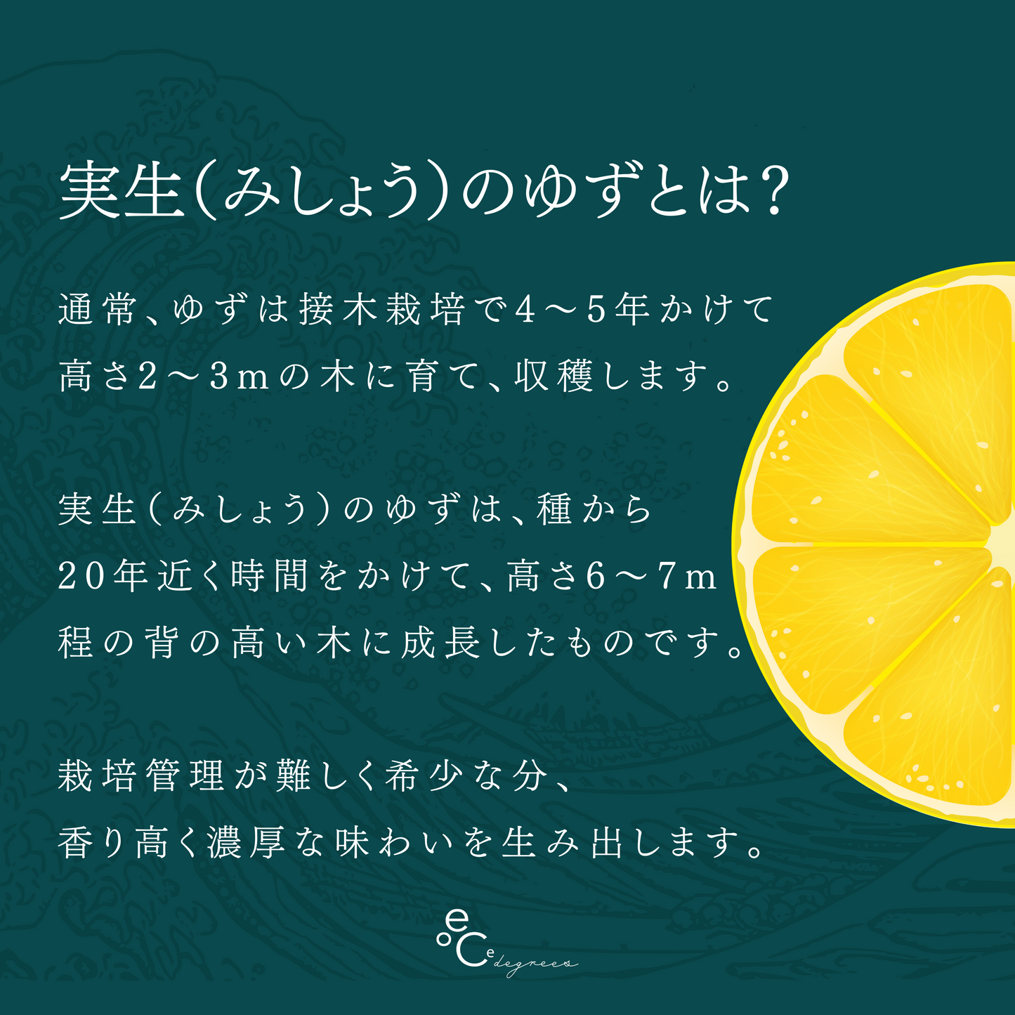 リスのクッキー缶 & 実生のゆず酒 500ml セット